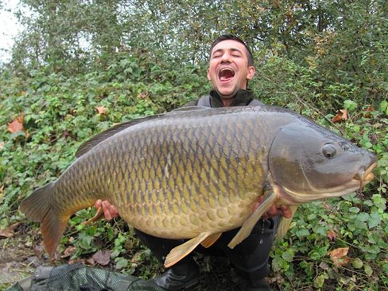 Crap comun de 31 kg pentru Cristi Marinica, consultant Select Baits
